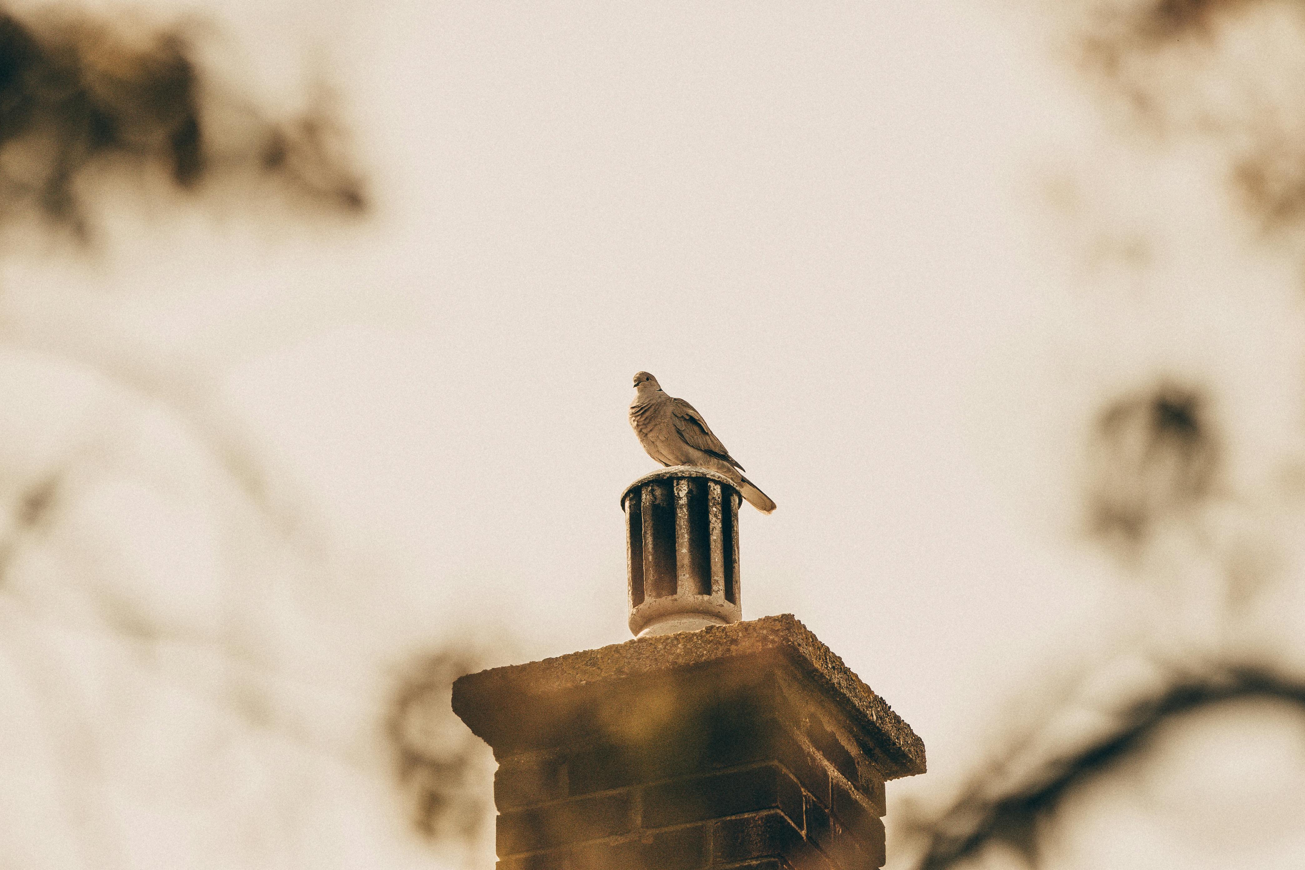 Professional Chimney Cap Installation Services in Hurst, TX Expert Chimney Cap Installation in Hurst, Texas